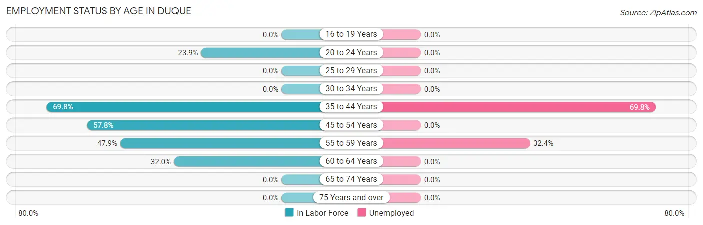 Employment Status by Age in Duque