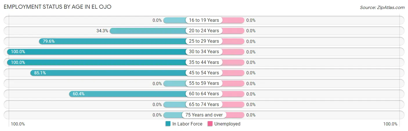 Employment Status by Age in El Ojo