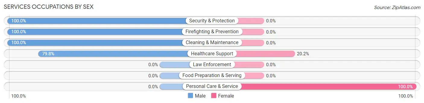 Services Occupations by Sex in El Ojo