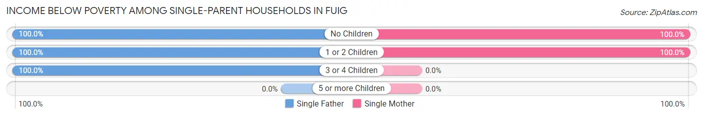 Income Below Poverty Among Single-Parent Households in Fuig