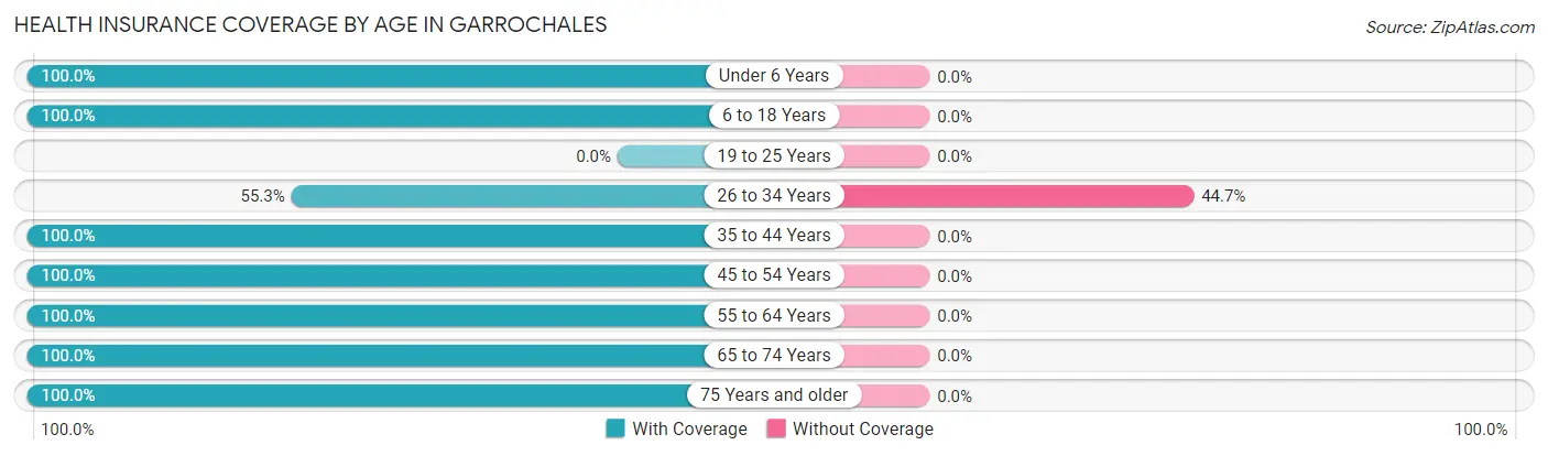 Health Insurance Coverage by Age in Garrochales