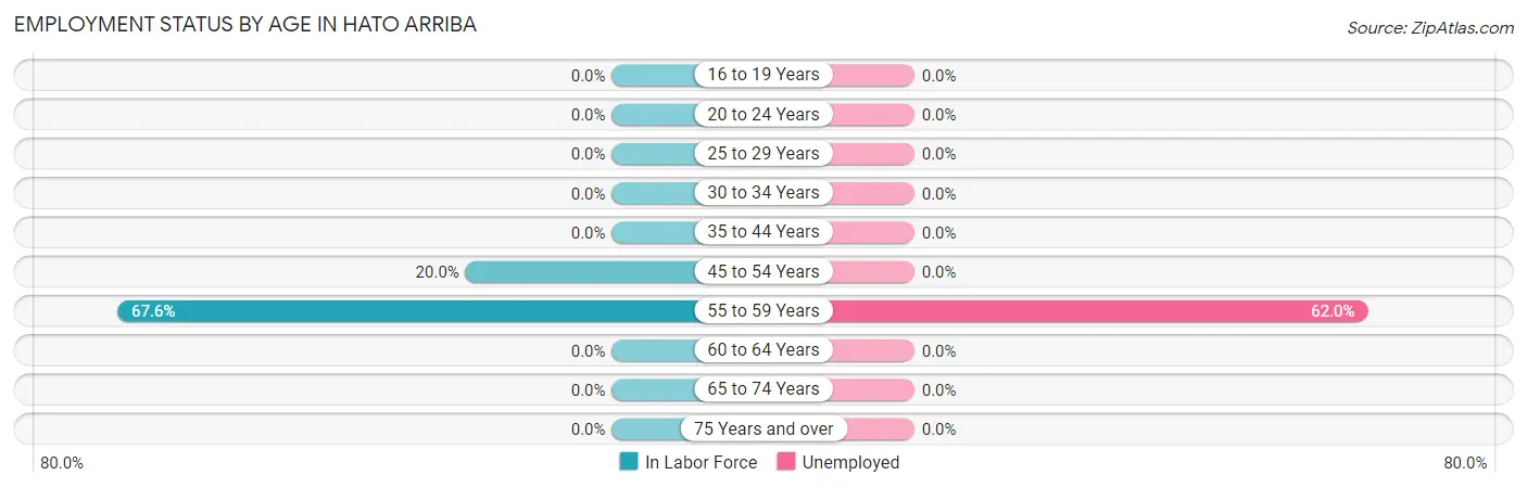 Employment Status by Age in Hato Arriba