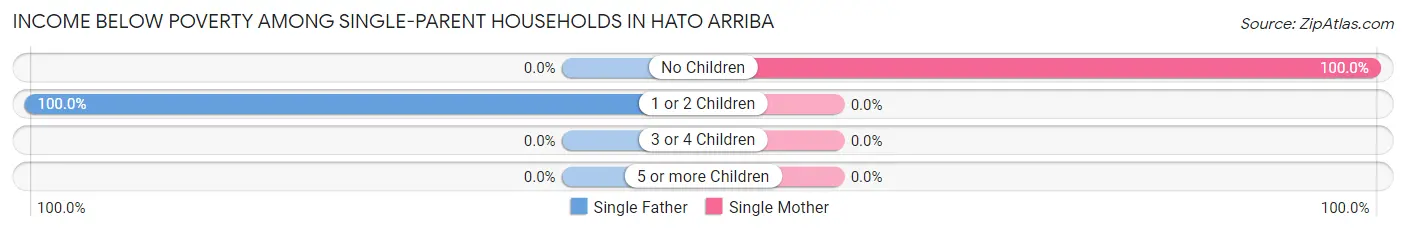 Income Below Poverty Among Single-Parent Households in Hato Arriba