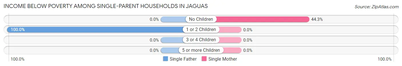Income Below Poverty Among Single-Parent Households in Jaguas