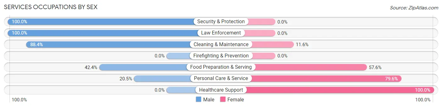 Services Occupations by Sex in Lajas