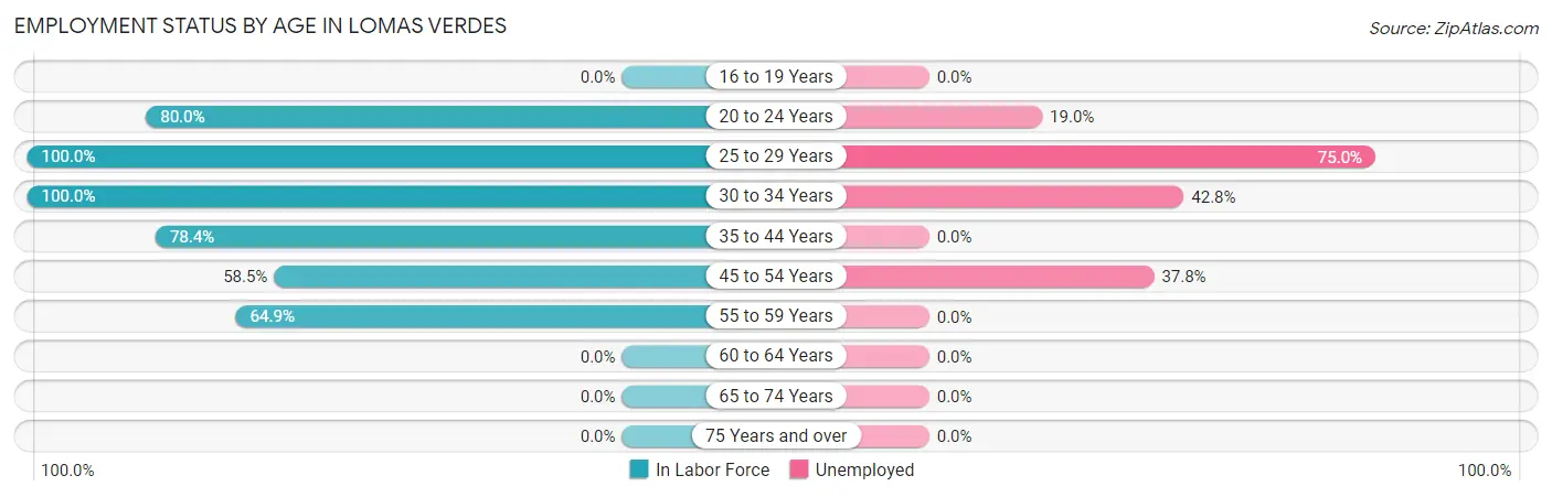 Employment Status by Age in Lomas Verdes