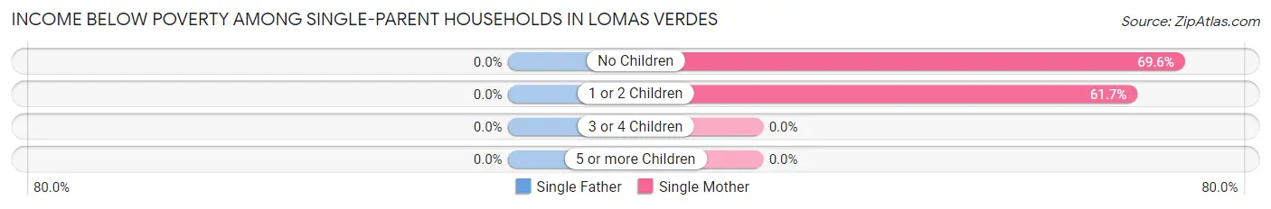 Income Below Poverty Among Single-Parent Households in Lomas Verdes