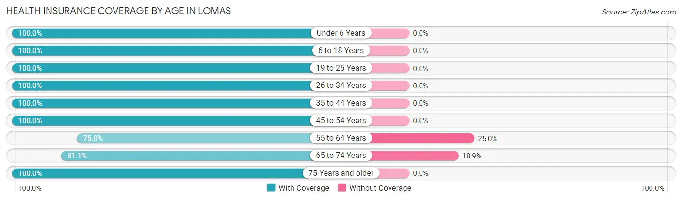 Health Insurance Coverage by Age in Lomas