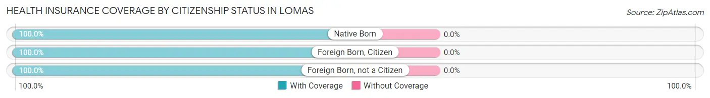 Health Insurance Coverage by Citizenship Status in Lomas