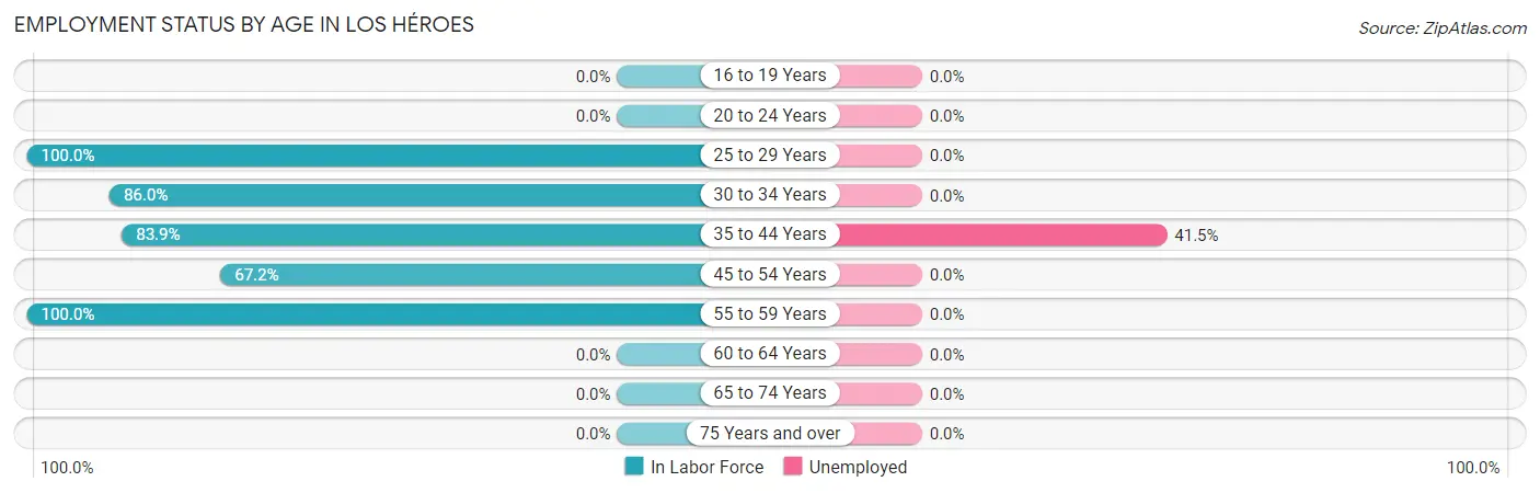 Employment Status by Age in Los Héroes