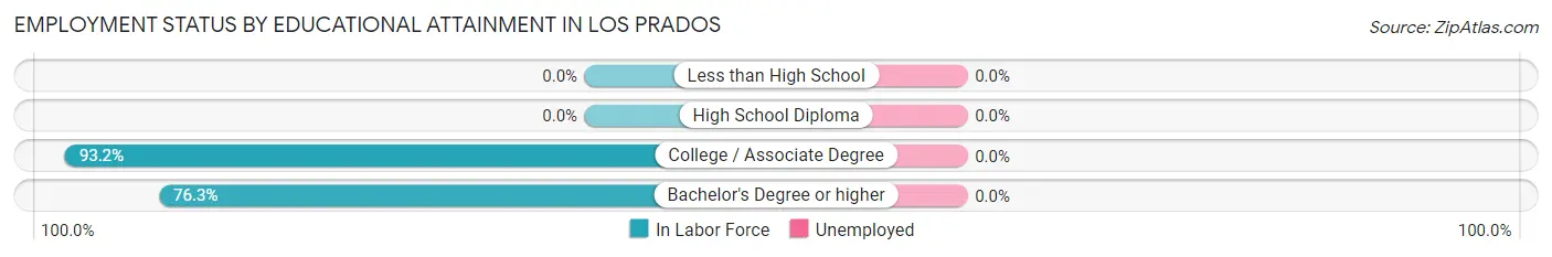 Employment Status by Educational Attainment in Los Prados