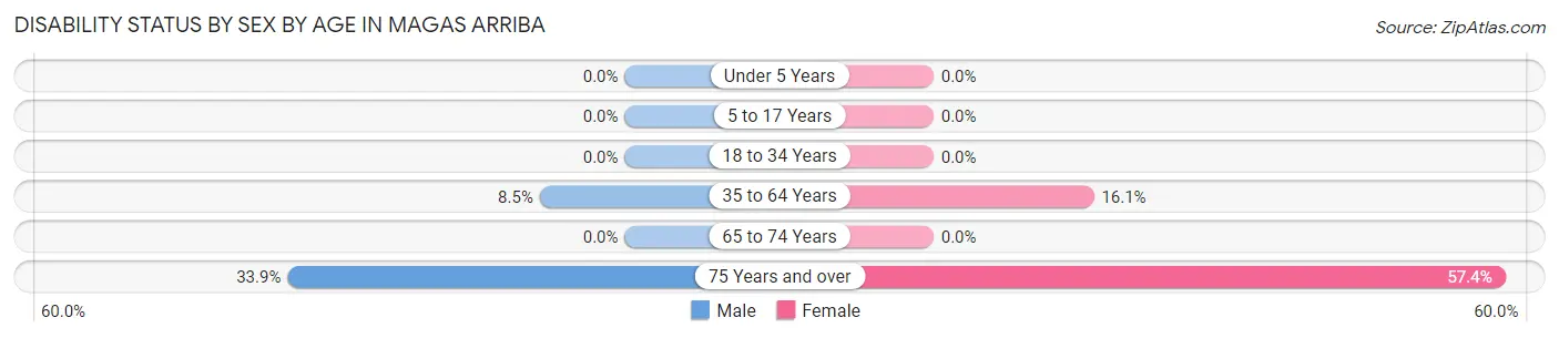 Disability Status by Sex by Age in Magas Arriba