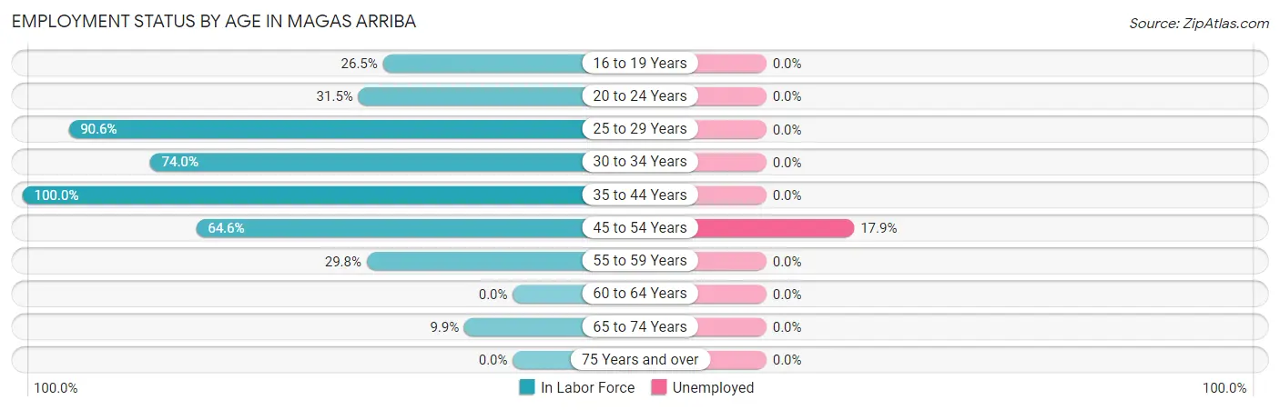Employment Status by Age in Magas Arriba