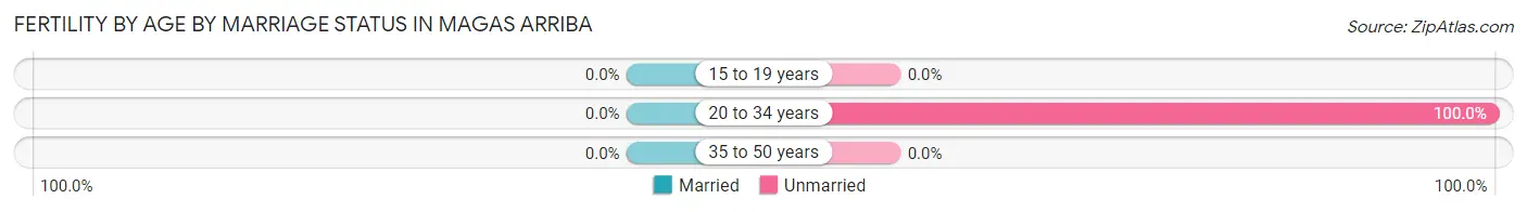 Female Fertility by Age by Marriage Status in Magas Arriba