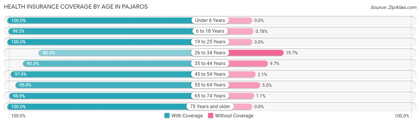 Health Insurance Coverage by Age in Pajaros