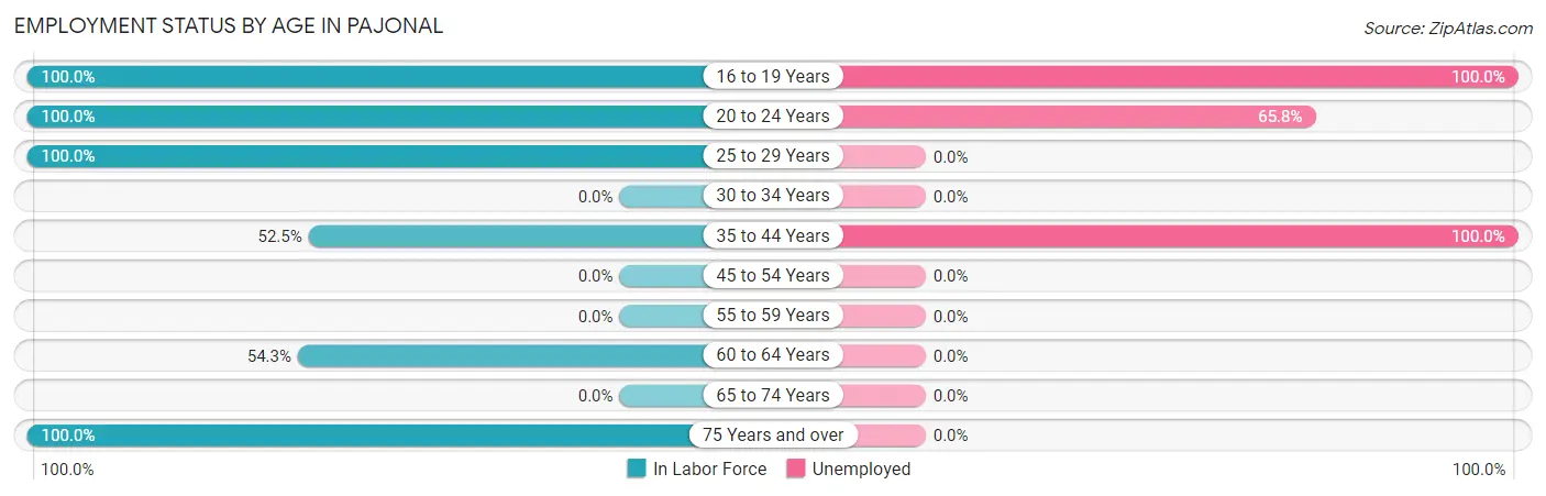 Employment Status by Age in Pajonal