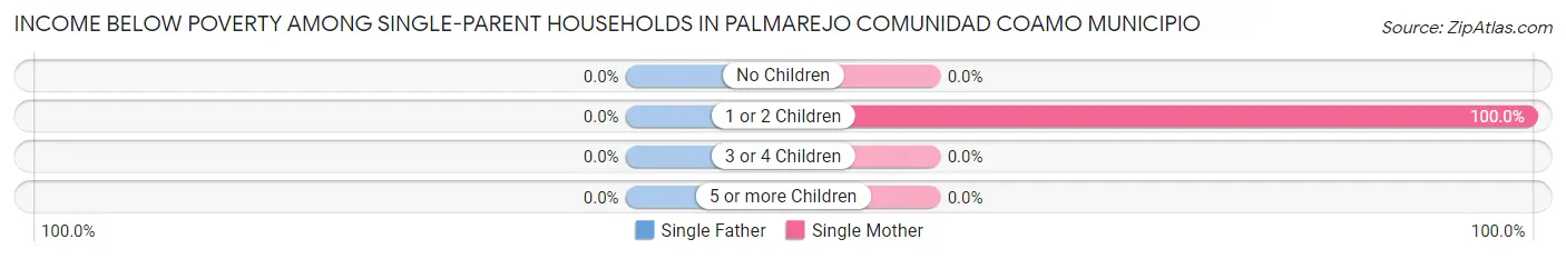 Income Below Poverty Among Single-Parent Households in Palmarejo comunidad Coamo Municipio