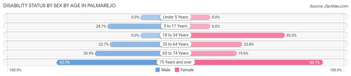 Disability Status by Sex by Age in Palmarejo