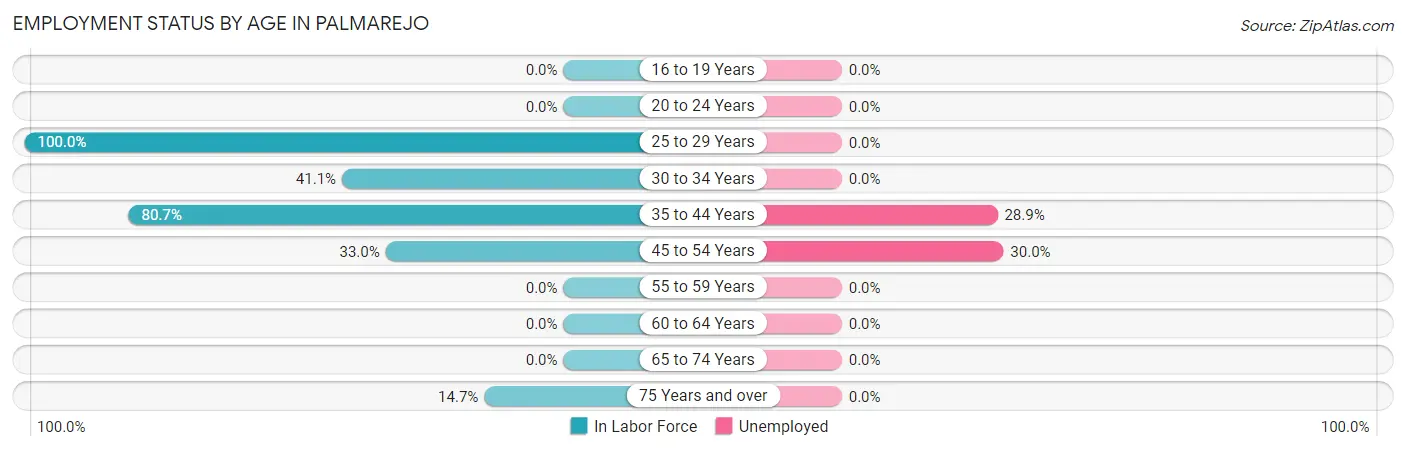 Employment Status by Age in Palmarejo