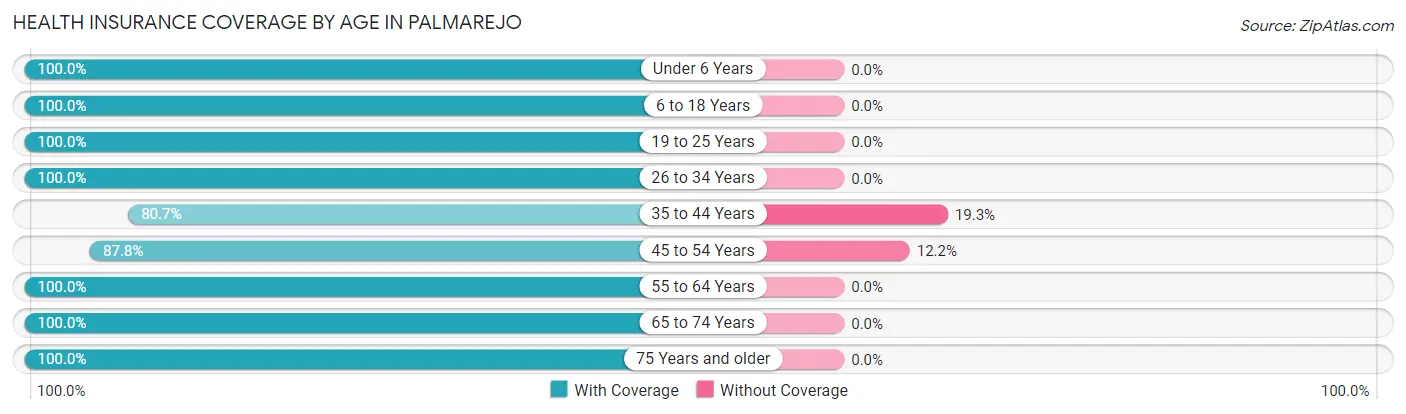 Health Insurance Coverage by Age in Palmarejo