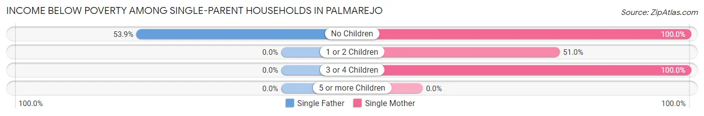 Income Below Poverty Among Single-Parent Households in Palmarejo