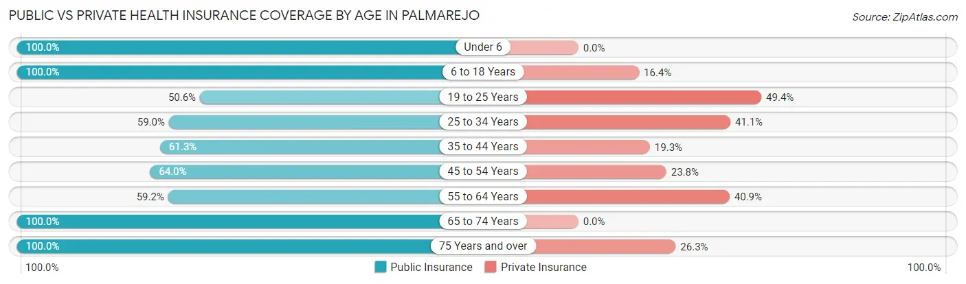 Public vs Private Health Insurance Coverage by Age in Palmarejo
