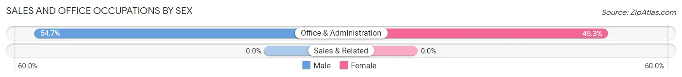 Sales and Office Occupations by Sex in Palmarejo