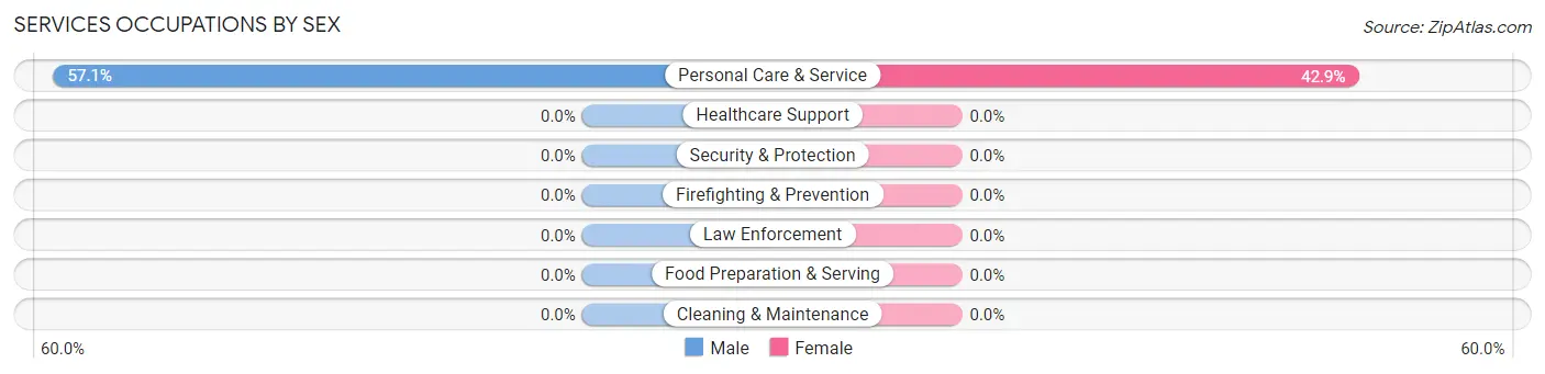 Services Occupations by Sex in Palmarejo
