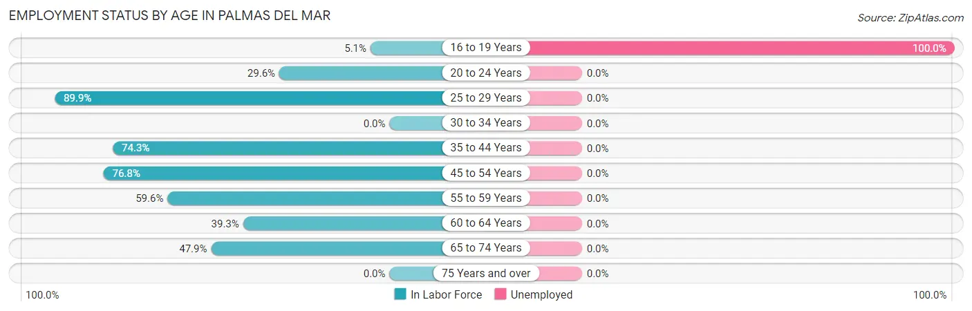 Employment Status by Age in Palmas del Mar