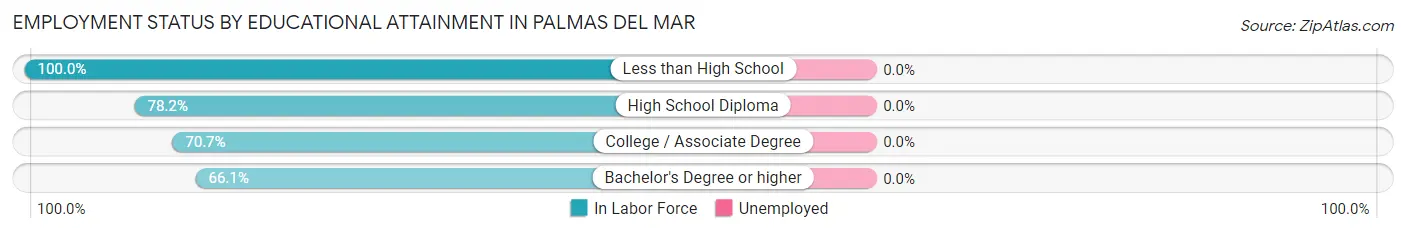 Employment Status by Educational Attainment in Palmas del Mar