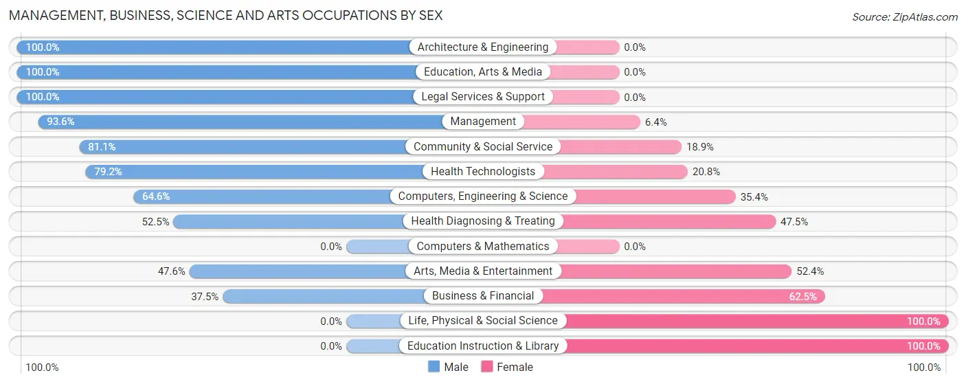 Management, Business, Science and Arts Occupations by Sex in Palmas del Mar