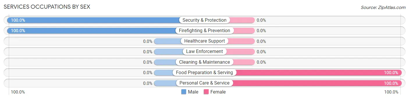 Services Occupations by Sex in Palmas del Mar