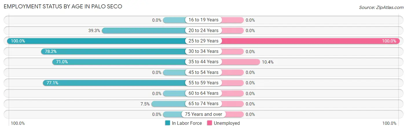 Employment Status by Age in Palo Seco