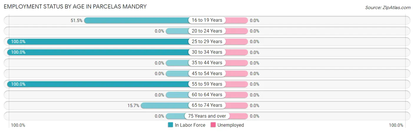 Employment Status by Age in Parcelas Mandry