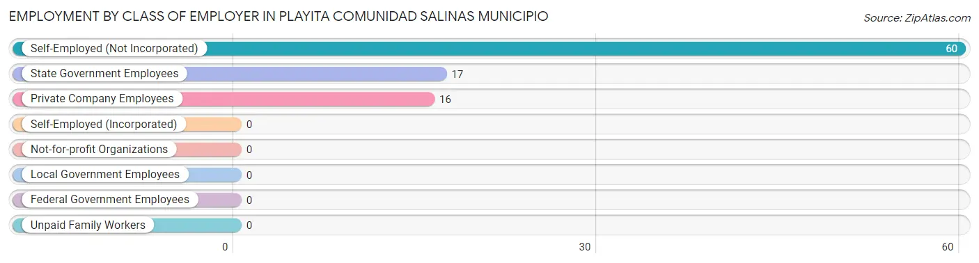 Employment by Class of Employer in Playita comunidad Salinas Municipio