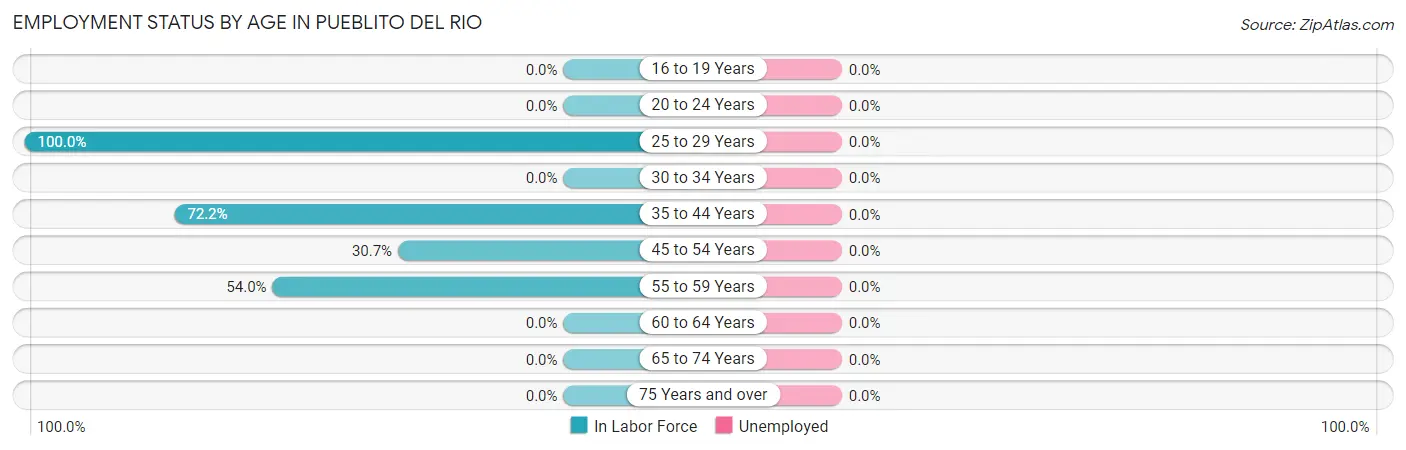 Employment Status by Age in Pueblito del Rio