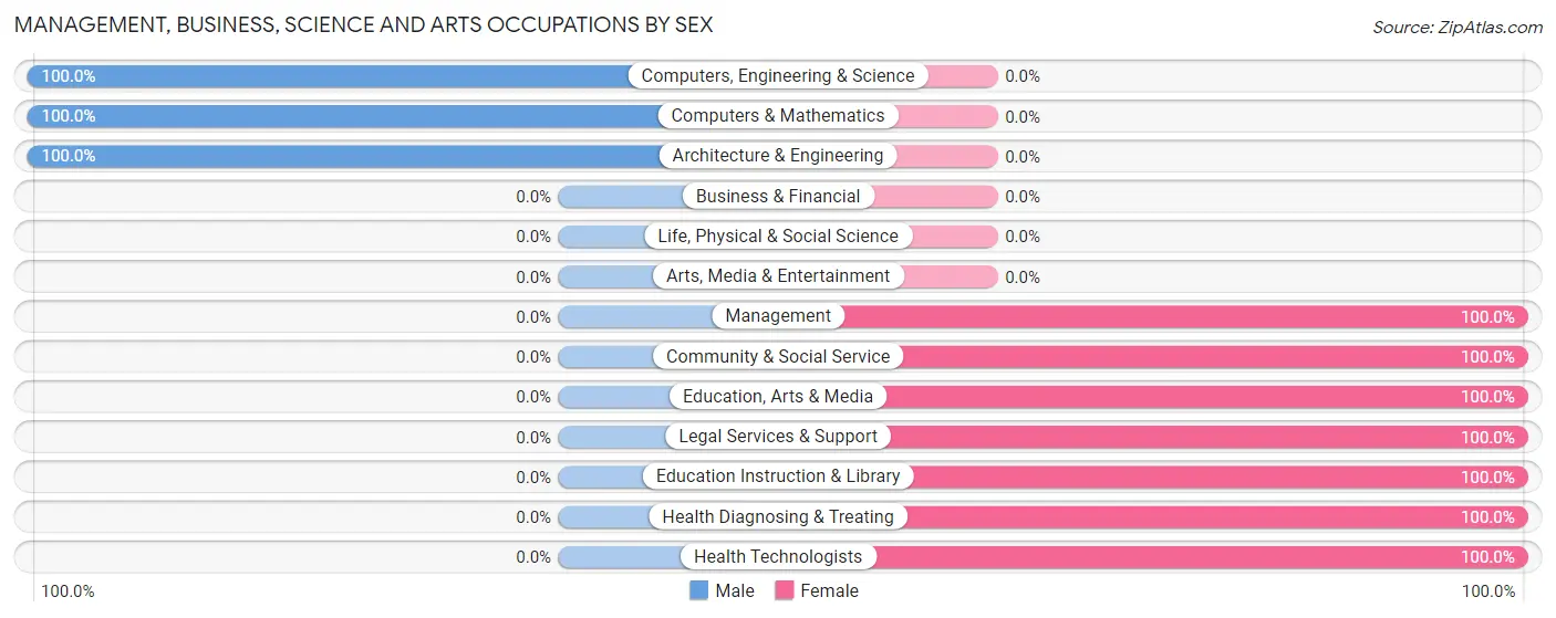 Management, Business, Science and Arts Occupations by Sex in Punta Santiago