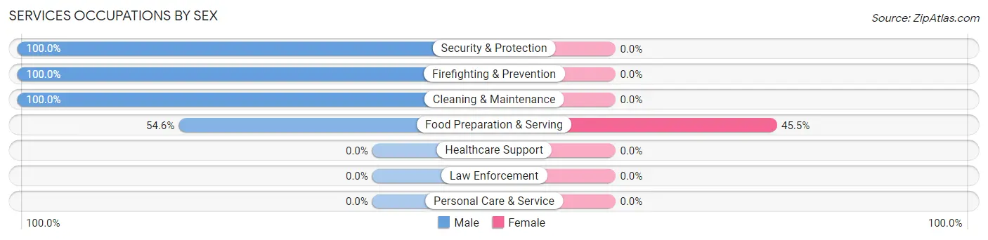 Services Occupations by Sex in Rafael Hernandez