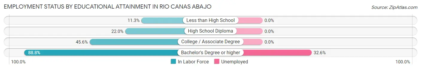 Employment Status by Educational Attainment in Rio Canas Abajo