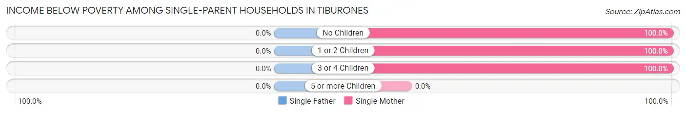 Income Below Poverty Among Single-Parent Households in Tiburones