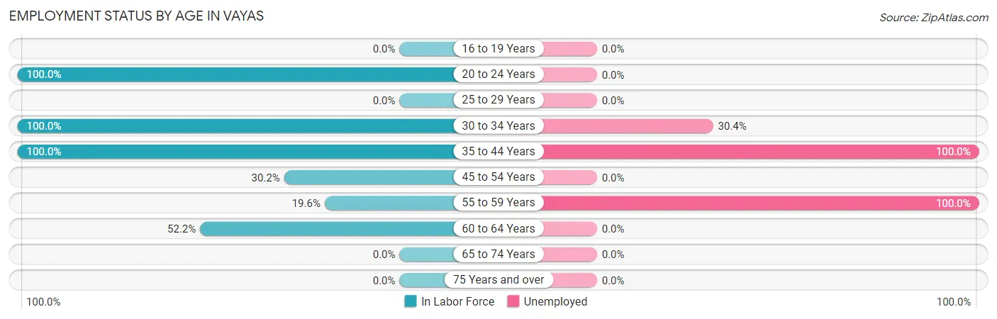 Employment Status by Age in Vayas