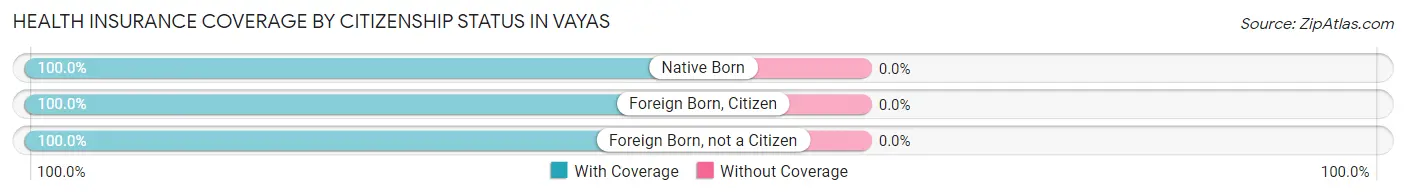 Health Insurance Coverage by Citizenship Status in Vayas