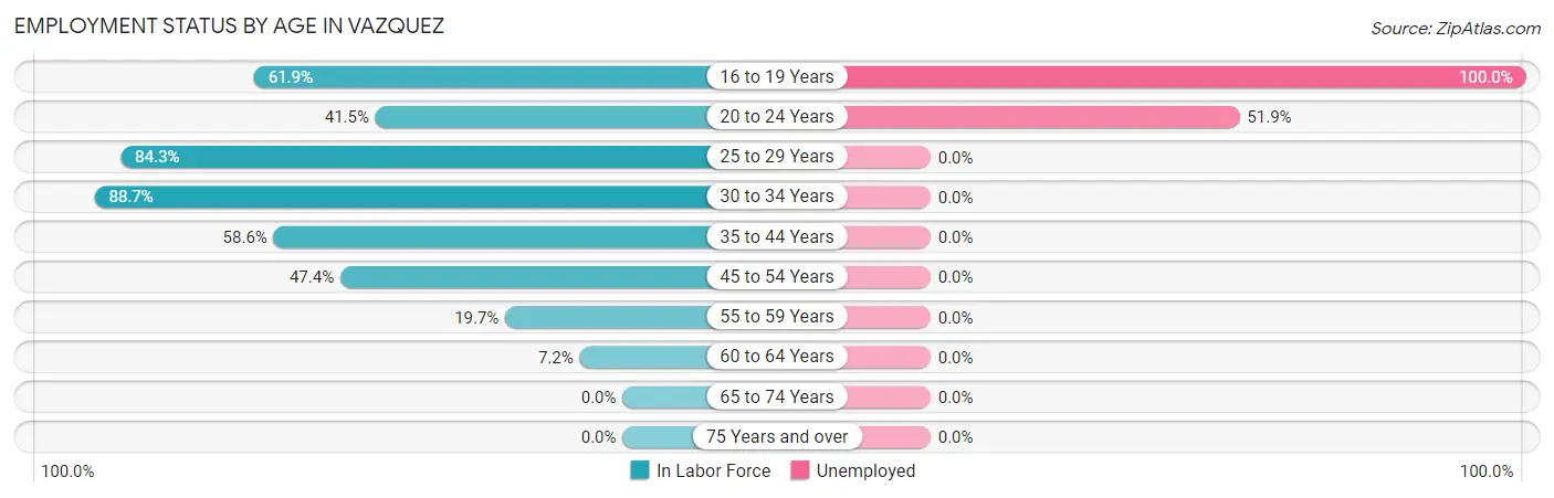 Employment Status by Age in Vazquez