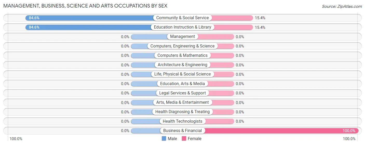 Management, Business, Science and Arts Occupations by Sex in Vazquez