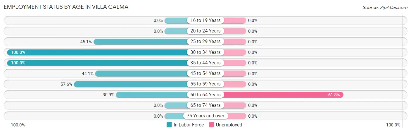 Employment Status by Age in Villa Calma