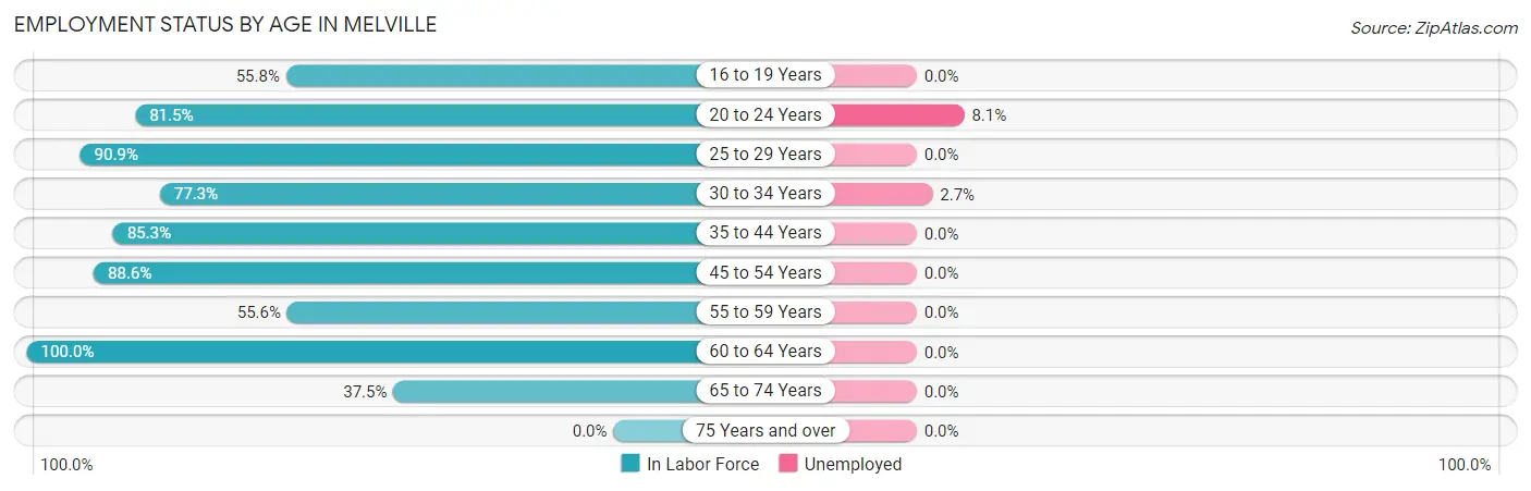 Employment Status by Age in Melville