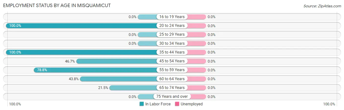 Employment Status by Age in Misquamicut