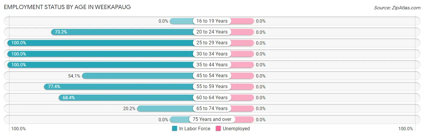 Employment Status by Age in Weekapaug