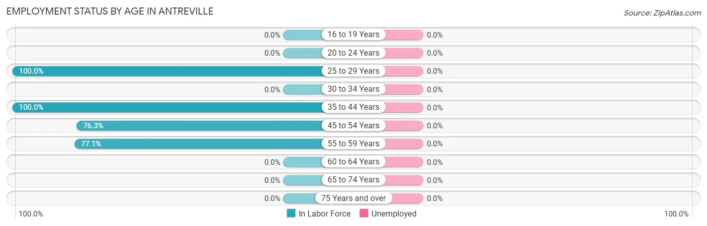Employment Status by Age in Antreville
