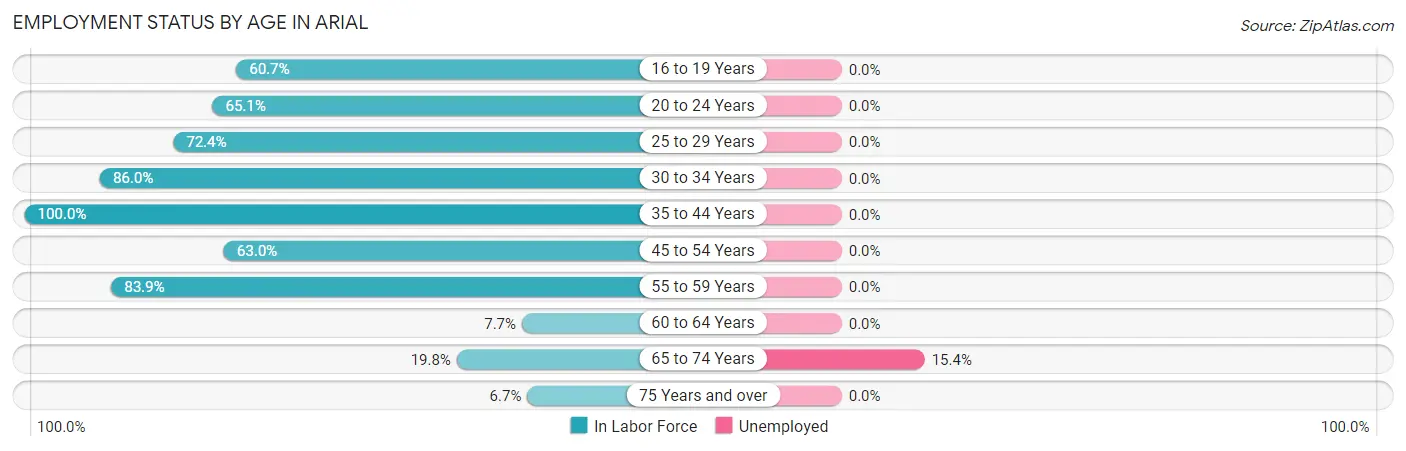 Employment Status by Age in Arial